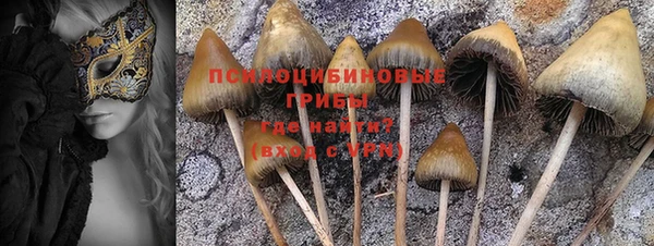не бодяженный Михайлов