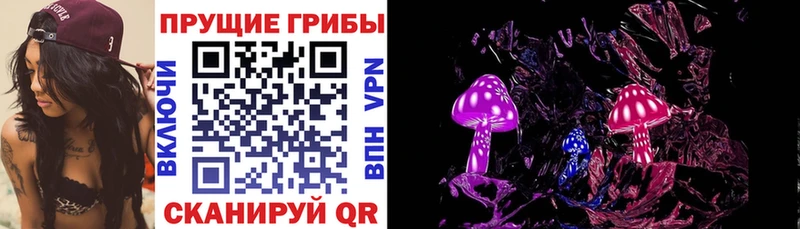 где можно купить   Спас-Деменск  Псилоцибиновые грибы Cubensis 